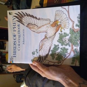 Birds of prey coloring book